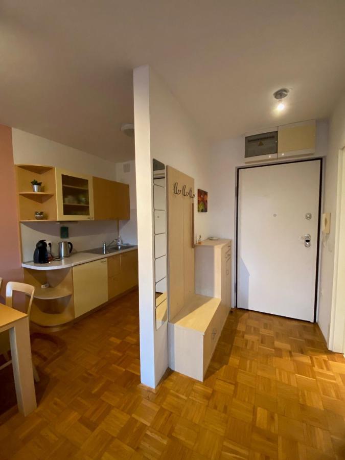 לובליאנה Apartma Felicija מראה חיצוני תמונה