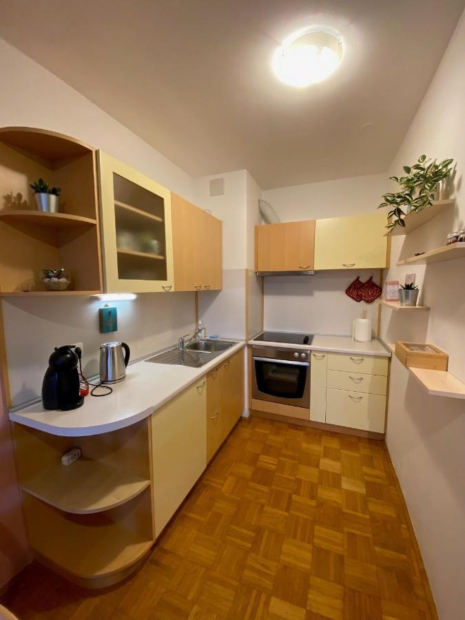 לובליאנה Apartma Felicija מראה חיצוני תמונה