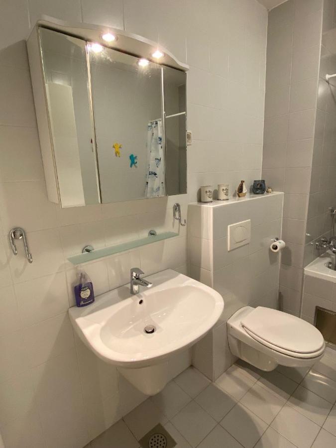 לובליאנה Apartma Felicija מראה חיצוני תמונה