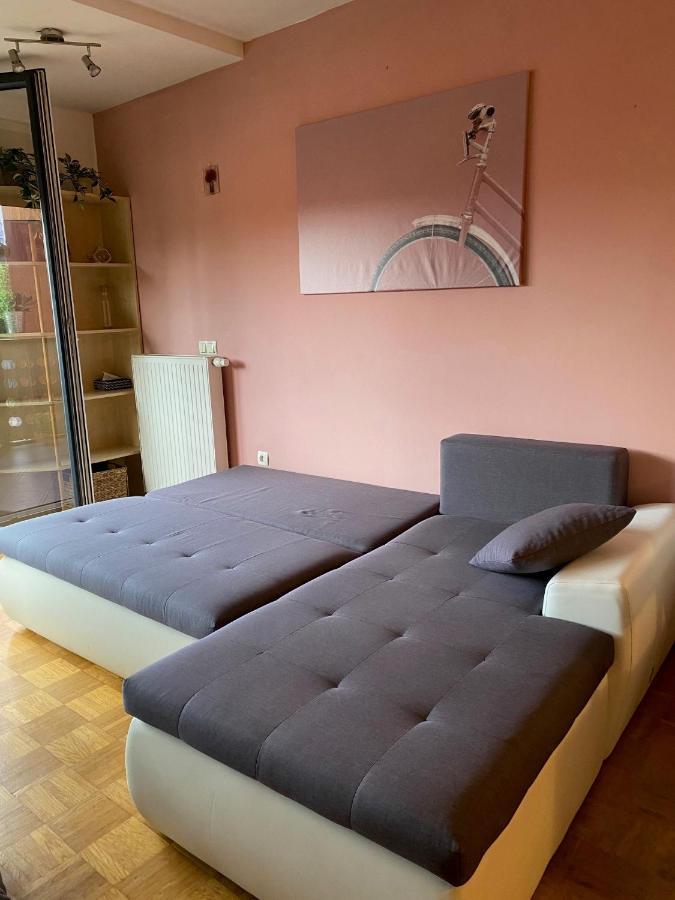 לובליאנה Apartma Felicija מראה חיצוני תמונה